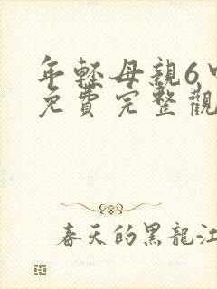 年轻母亲6中字免费完整观看
