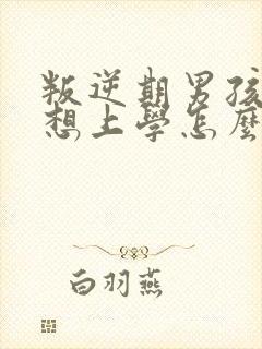 叛逆期男孩子不想上学怎么办