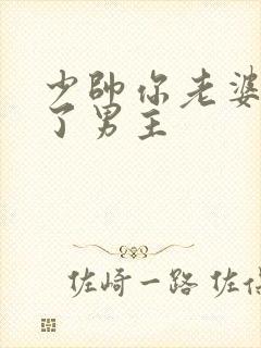 少帅你老婆又跑了男主