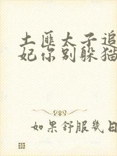 土匪太子追妻逃妃你别躲猫猫宋令仪在线阅