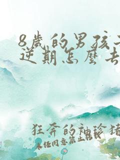8岁的男孩子叛逆期怎么去引导