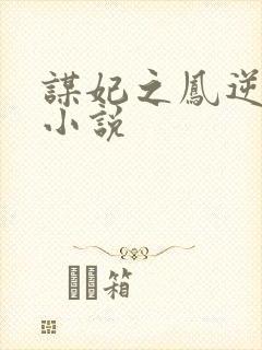 谋妃之凤逆天下小说