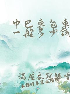 中巴车包车一天一般多少钱