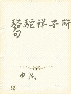 骆驼祥子所有好句