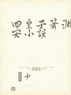 四皇子萧渊沈安安小说