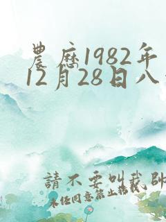 农历1982年12月28日八字算命