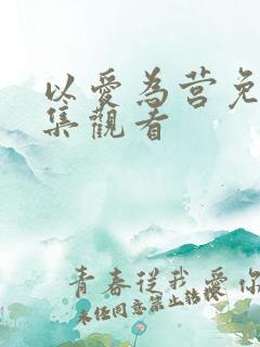 以爱为营免费全集观看