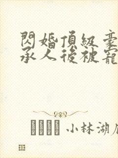 闪婚顶级豪门继承人后被宠上天 完结版