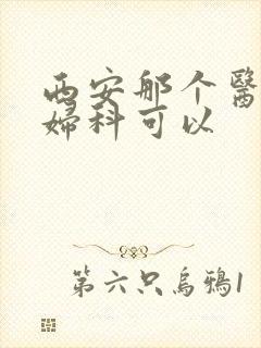 西安那个医院看妇科可以