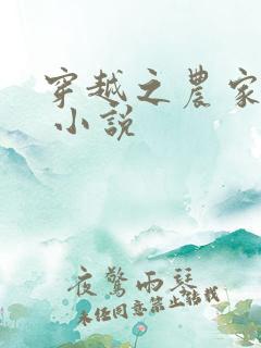 穿越之农家好妇 小说
