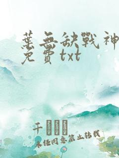 叶无缺战神狂飙免费txt