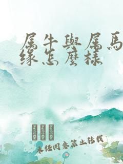属牛与属马的姻缘怎么样