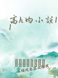 高h肉小说1v1