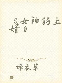 《女神的上门豪婿 》