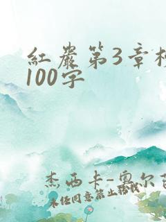 红岩第3章梗概100字
