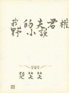 我的夫君权倾朝野 小说
