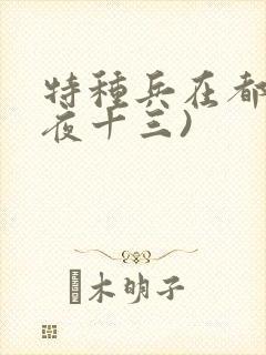 特种兵在都市(夜十三)
