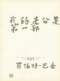 我的老公是冥王第一部