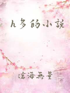 h多的小说