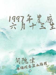 1997年农历六月十三生辰八字