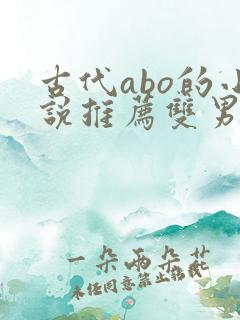 古代abo的小说推荐双男主