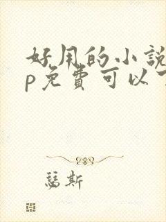 好用的小说app免费可以下载小说的