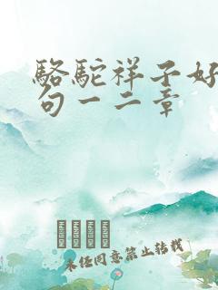 骆驼祥子好词好句一二章