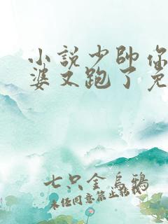 小说少帅你的老婆又跑了免费阅读