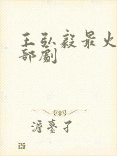 王弘毅最火的十部剧