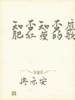 知否知否应是绿肥红瘦的歌曲