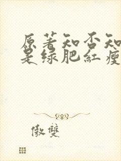 原著知否知否应是绿肥红瘦小说