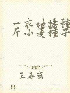 一亩地播种多少斤小麦种子