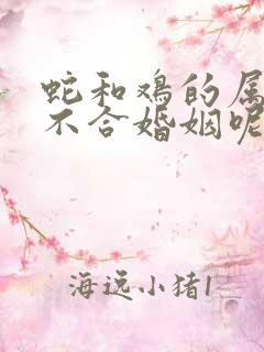 蛇和鸡的属相合不合婚姻呢