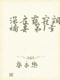 深夜霸宠调教小娇妻 第1章