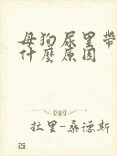 母狗尿里带血是什么原因