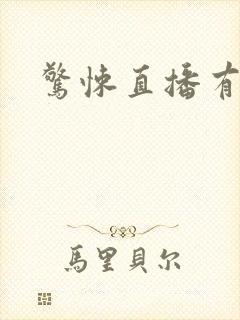 惊悚直播有声书