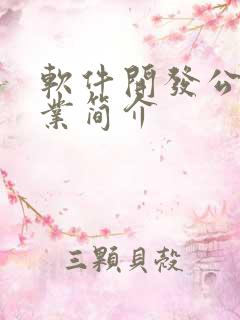 软件开发公司企业简介