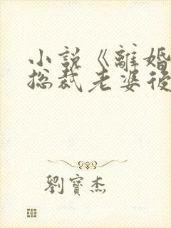 小说《离婚后,总裁老婆后悔了》