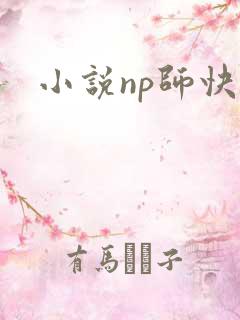 小说np师快穿