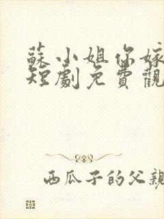 苏小姐你嫁错人短剧免费观看第二季