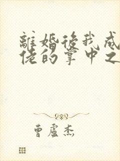 离婚后我成了大佬的掌中之物短剧