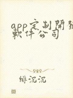 app定制开发软件公司