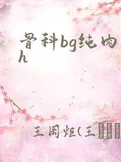 骨科bg纯肉高h