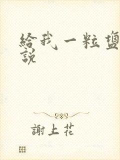 给我一粒盐的小说