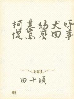 柯基幼犬呼吸急促怎么回事