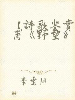 【诗歌鉴赏】杜甫《野望》原文及翻译