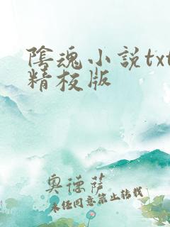 阴魂小说txt精校版