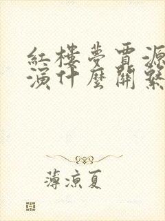 红楼梦贾源和贾演什么关系