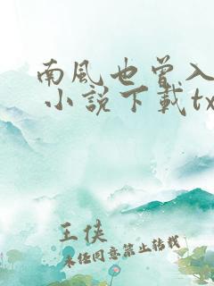 南风也曾入我怀 小说下载txt
