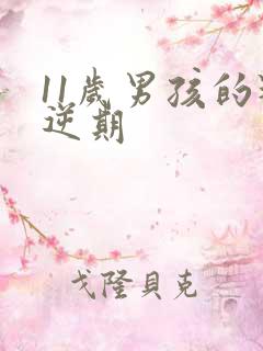 11岁男孩的叛逆期